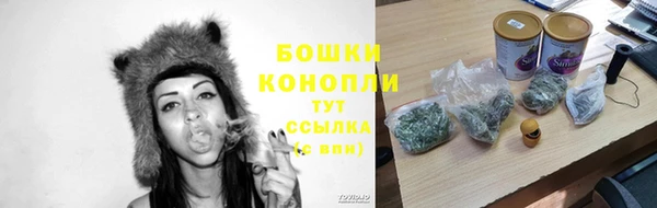 соль ск Арсеньев